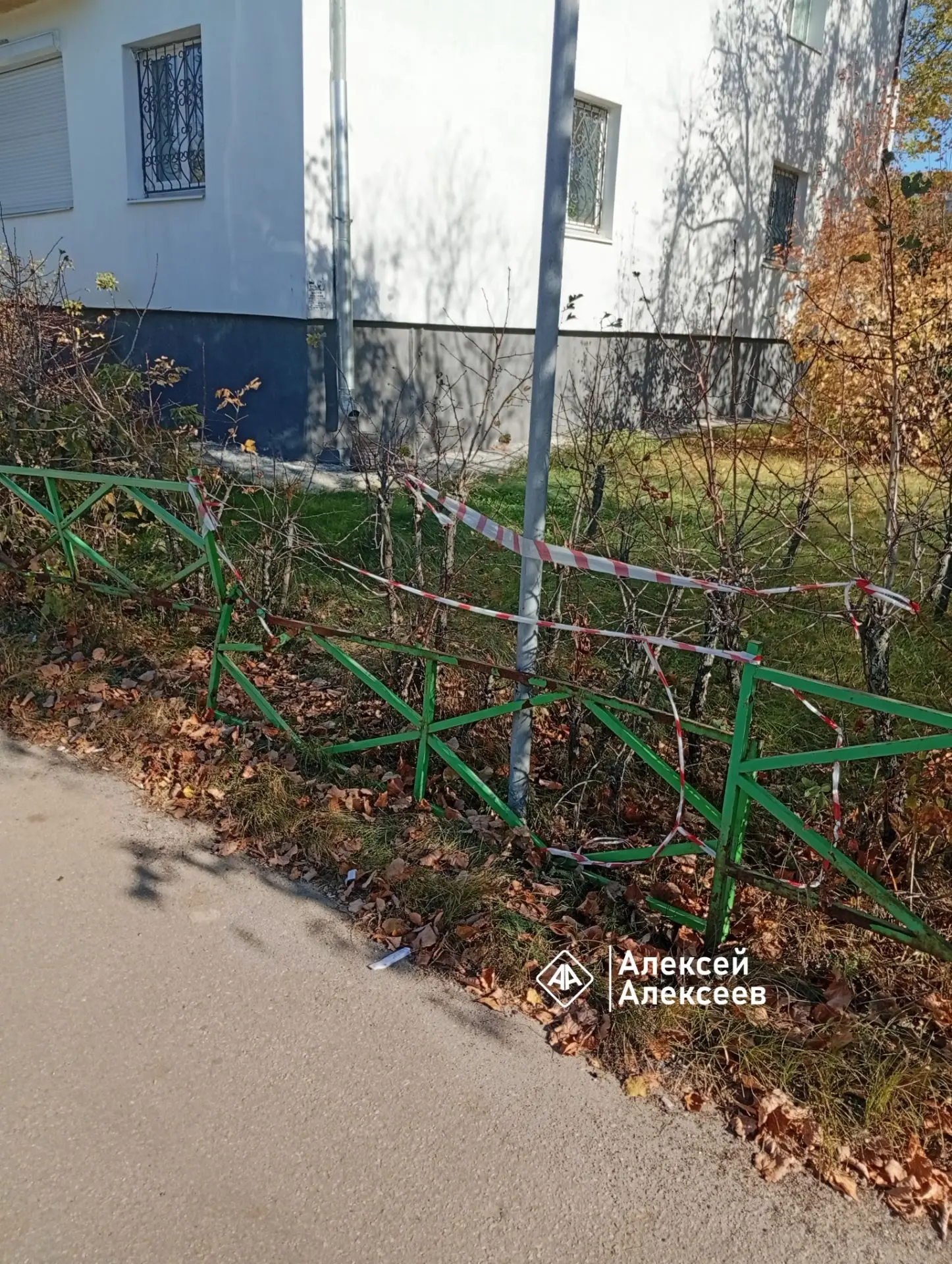 Почему Дуст