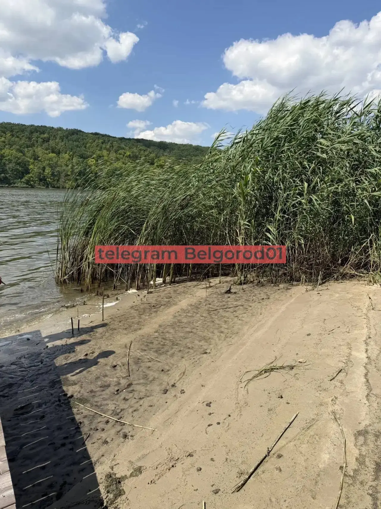 Местные жители заметили, что в районе «Пикник-Парка» убывает вода
