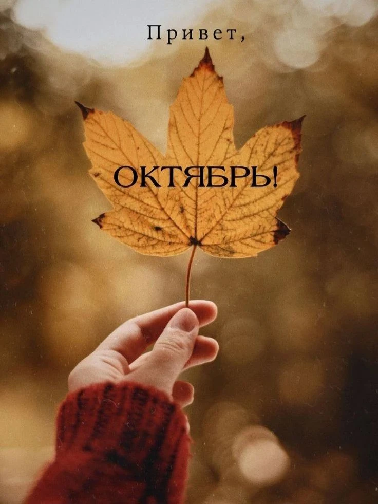 За что мы будем любить октябрь?🍂