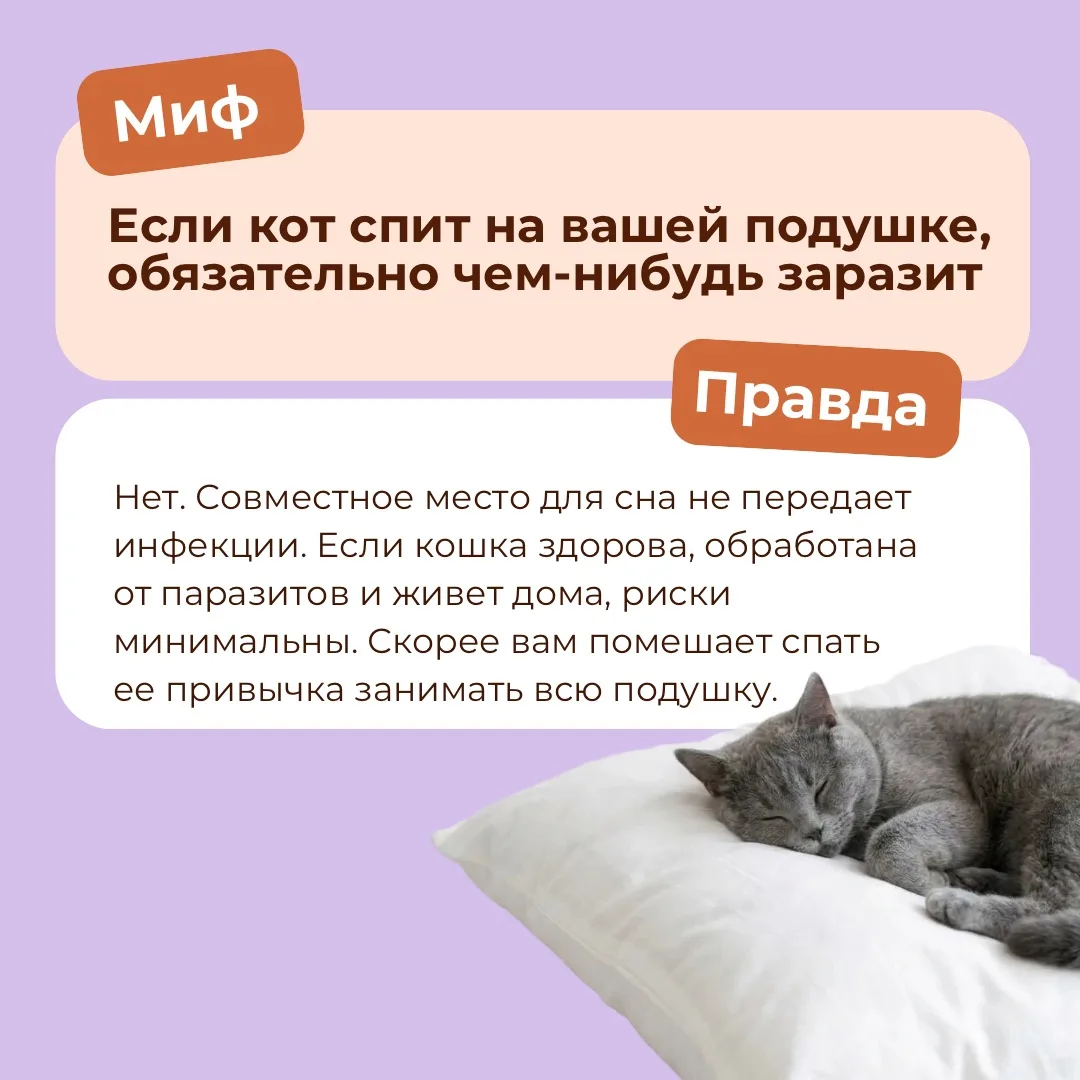 🤔После поста о зоонозах многие наверняка вспомнили советы из серии «не пускайте собаку...