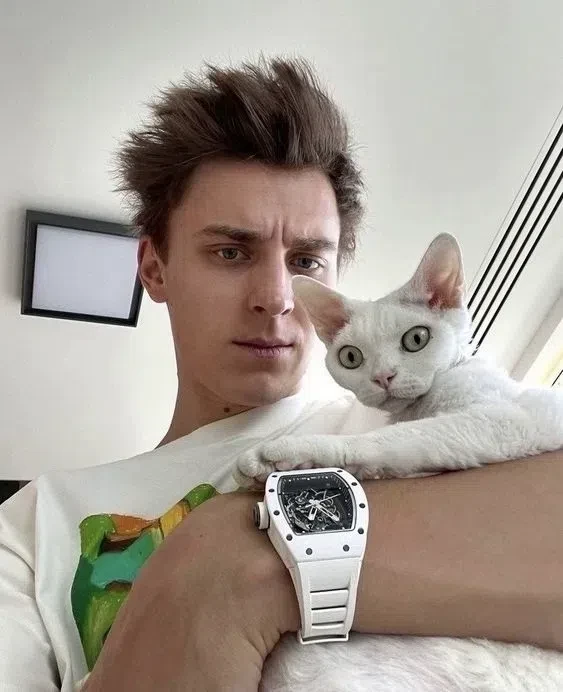 Любите кошек?)