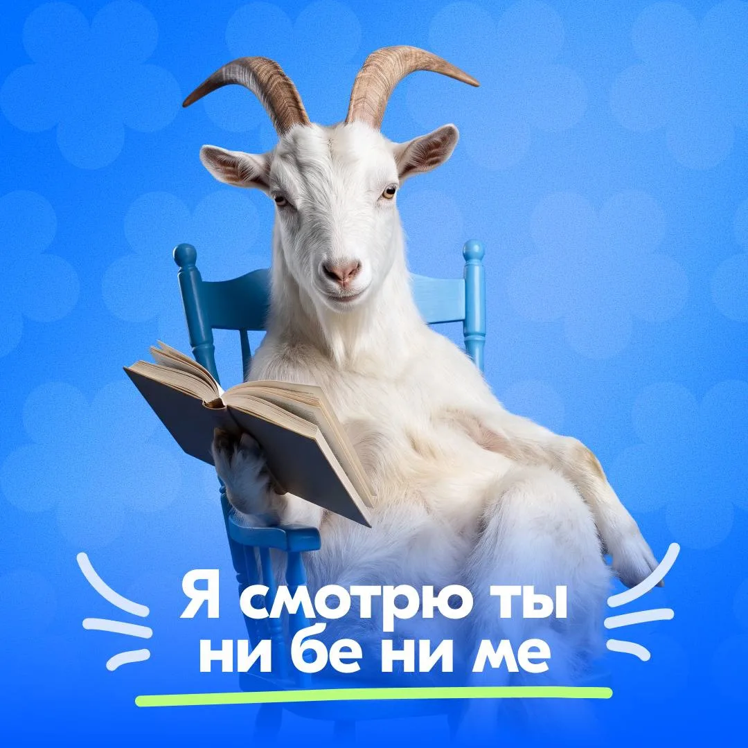 Напоминаем, что вы — не сотрудники банка