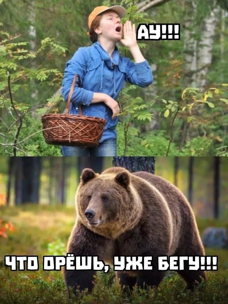 Ходите за грибами аккуратнее!