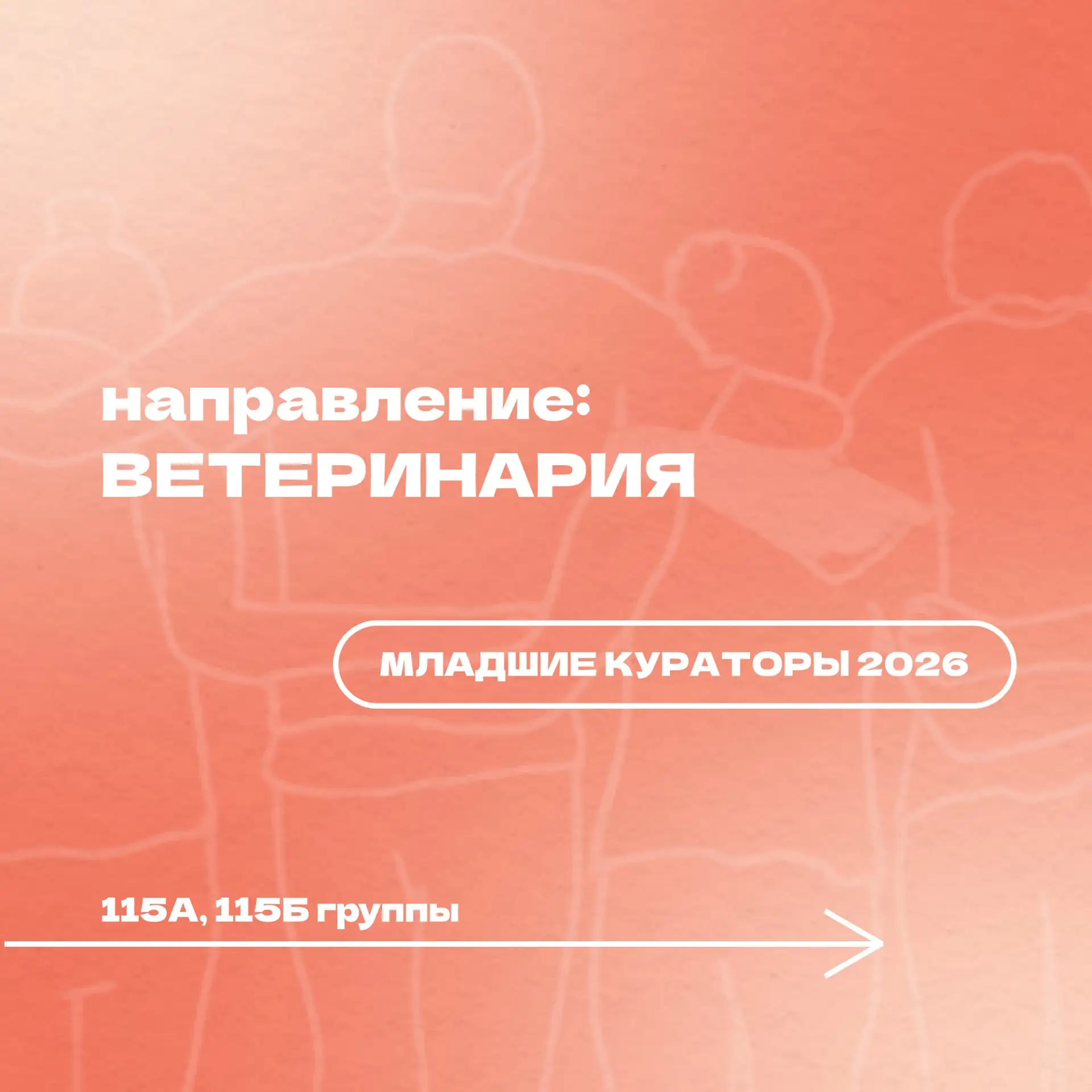Последние, но не по значимости🔎