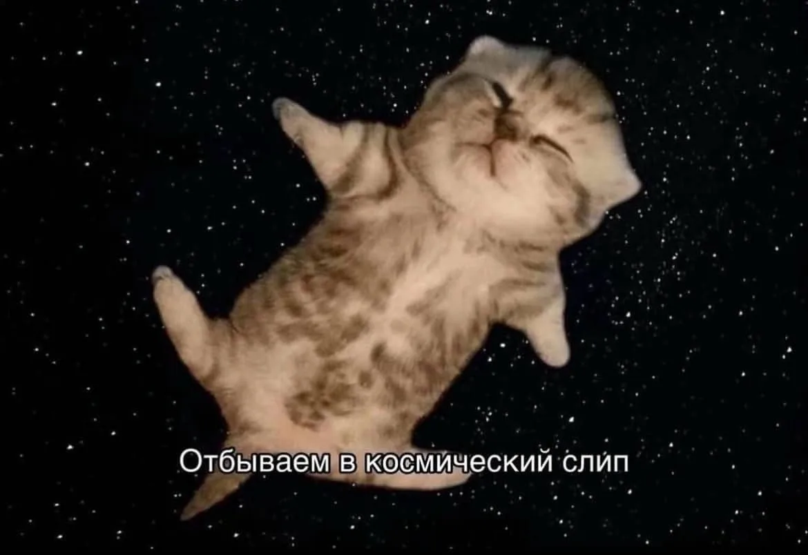 #SpaceCat