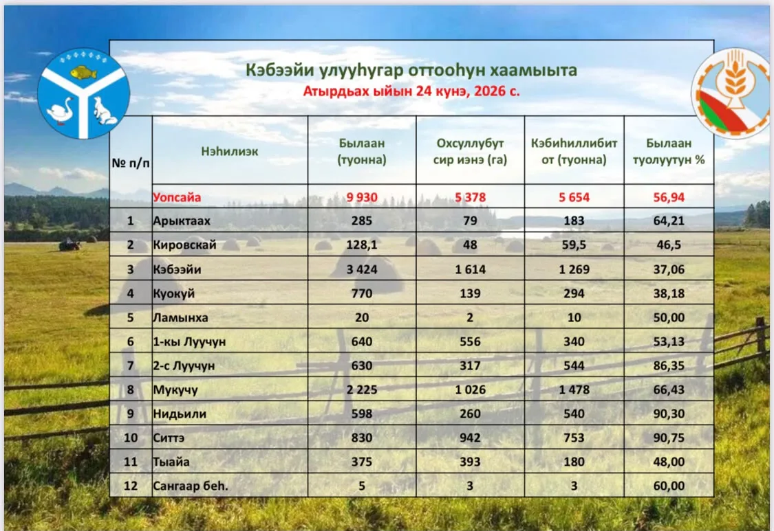 Кэбээйи улууhугар оттоhун хаамыыта🌱🌱🌱