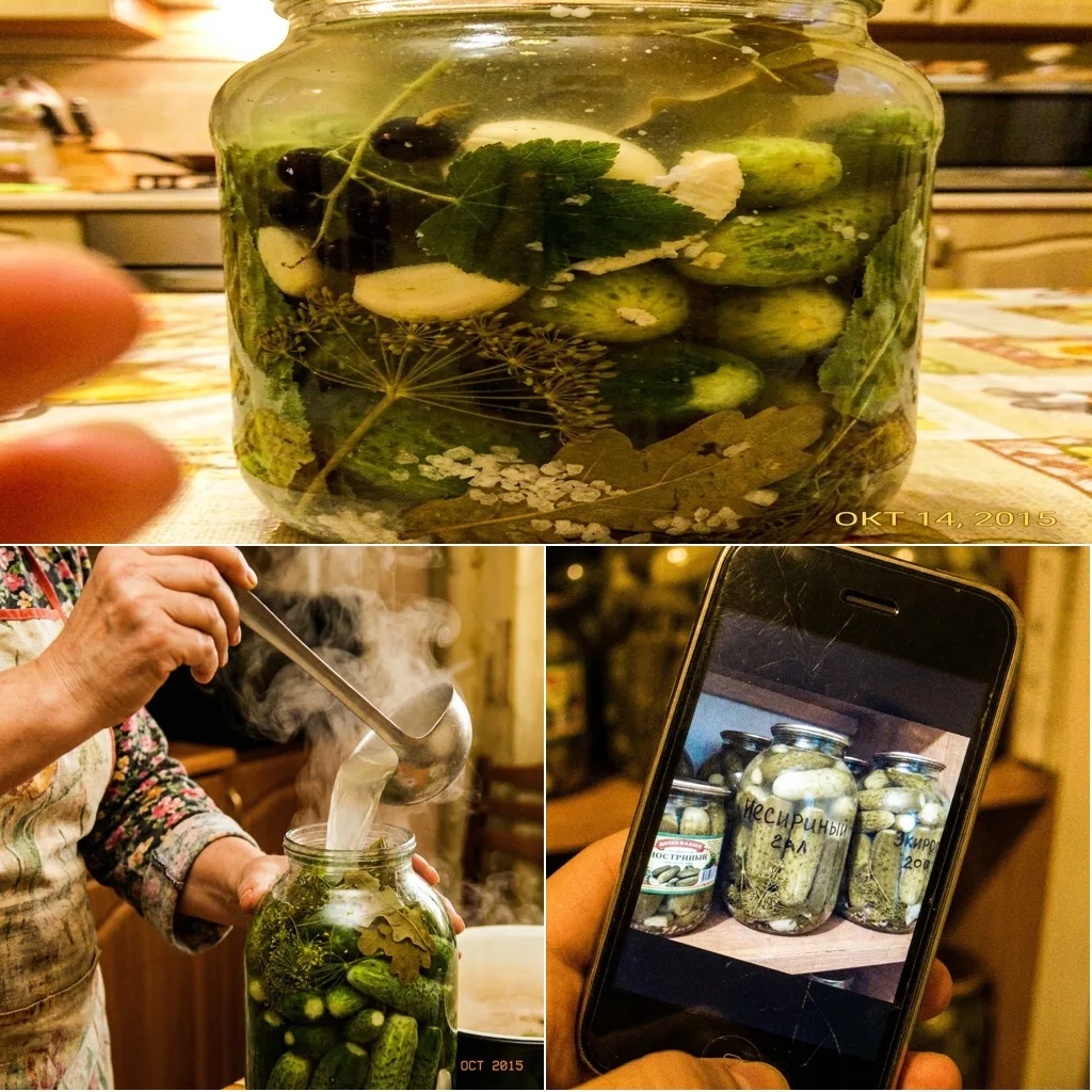 🥒 ОГУРЦЫ ГОРЯЧЕГО ЗАСОЛА