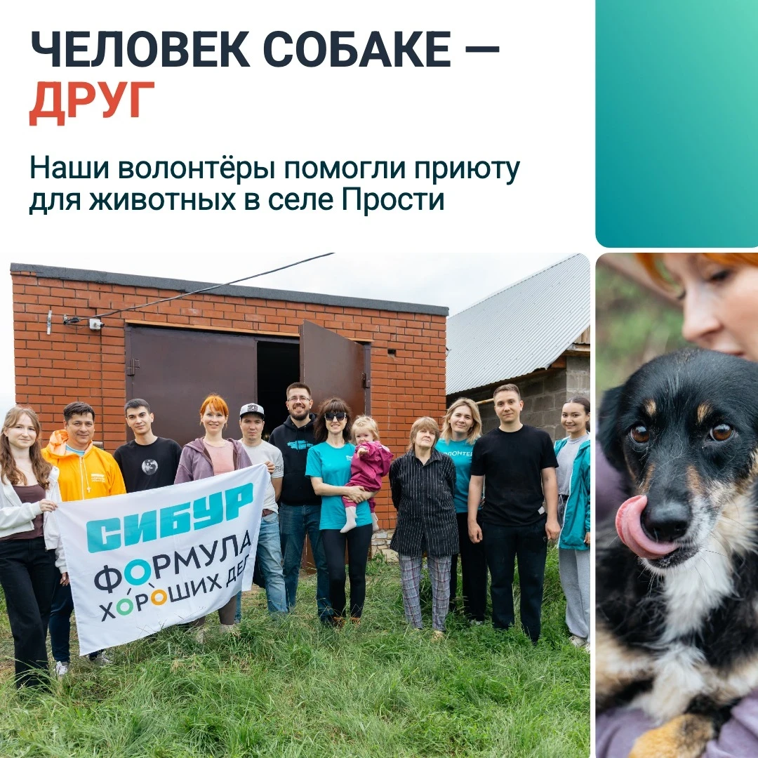 Трава скошена, ворота покрашены, хвосты счастливы 🐾

В новую «Добрую субботу» рассказываем, как вол