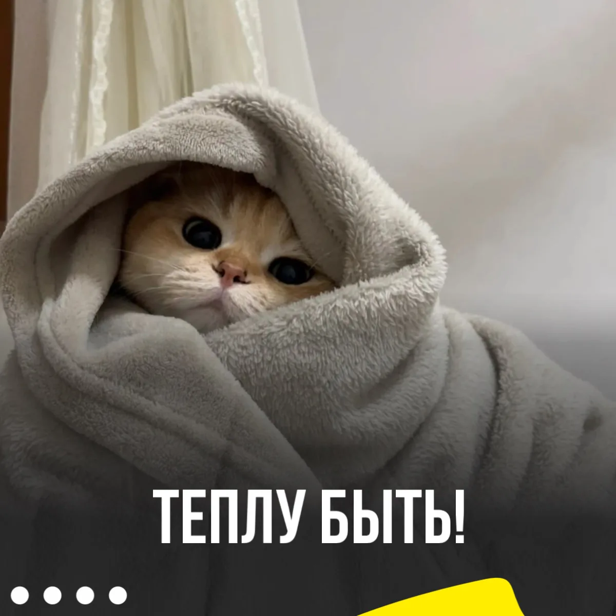 ⁉️Тепло вернется в квартиры кемеровчан   В Кузбассе возобновят подачу отопления в жилых домах из-за 