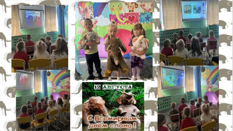 Великан на свете слон.