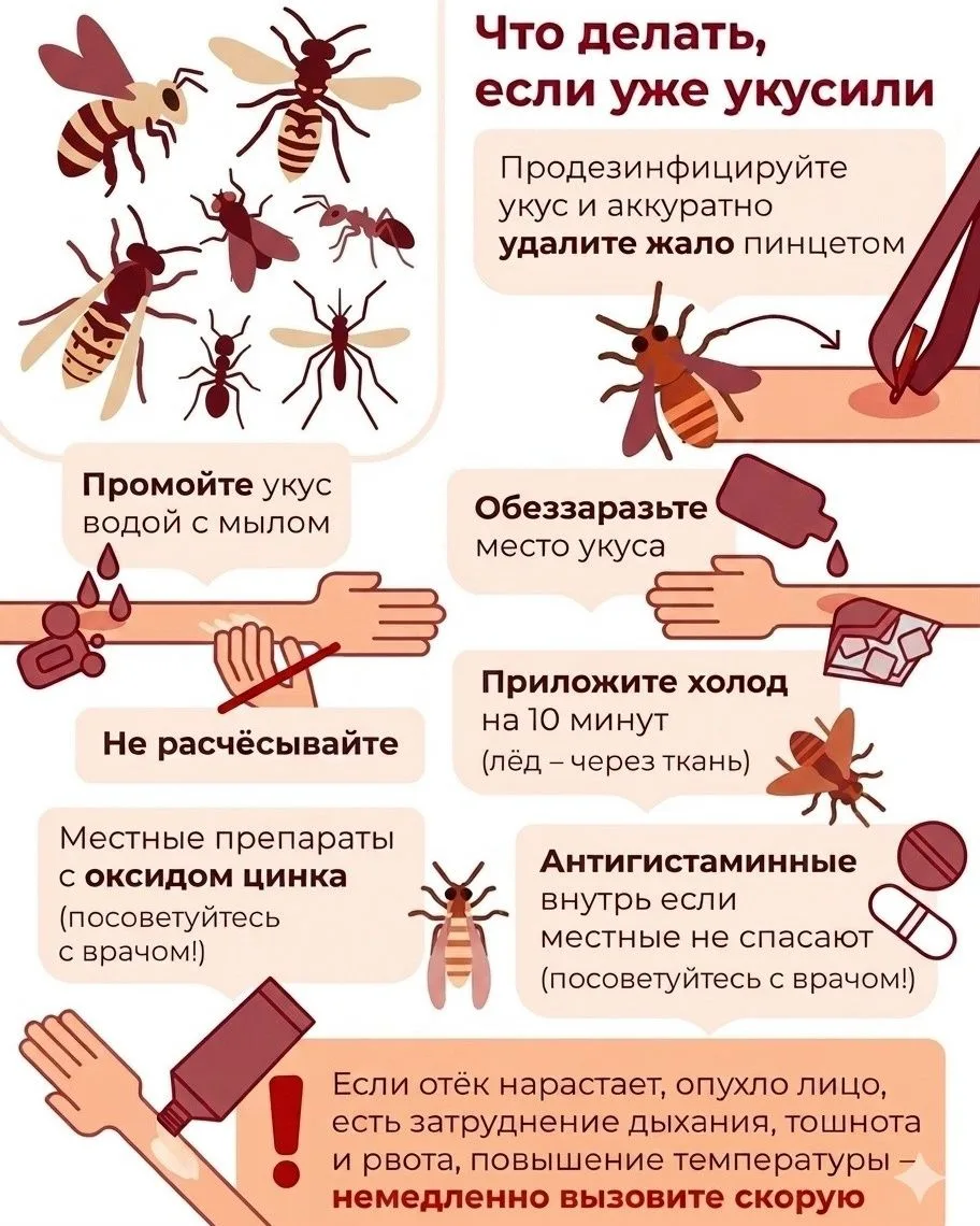 Лето — это солнце, пляж, дача, шашлыки и... насекомые. Чтобы зуд и отеки не испортили вам теплые дни