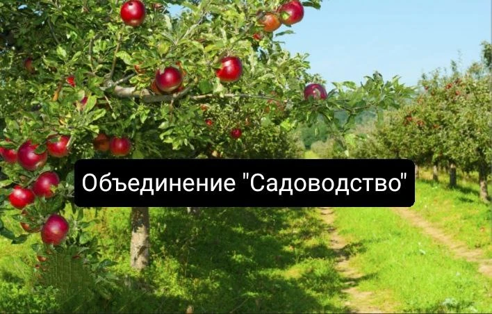 🌱🌸 Приглашаем юных любителей природы присоединиться к Объединению «Садоводство»! 🌸🌱