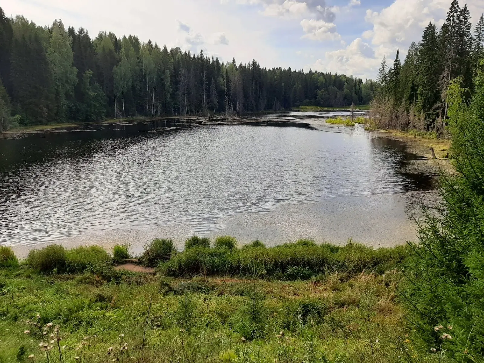 Вожаковский пруд , Ст.Вожакова. Нытвенский район.