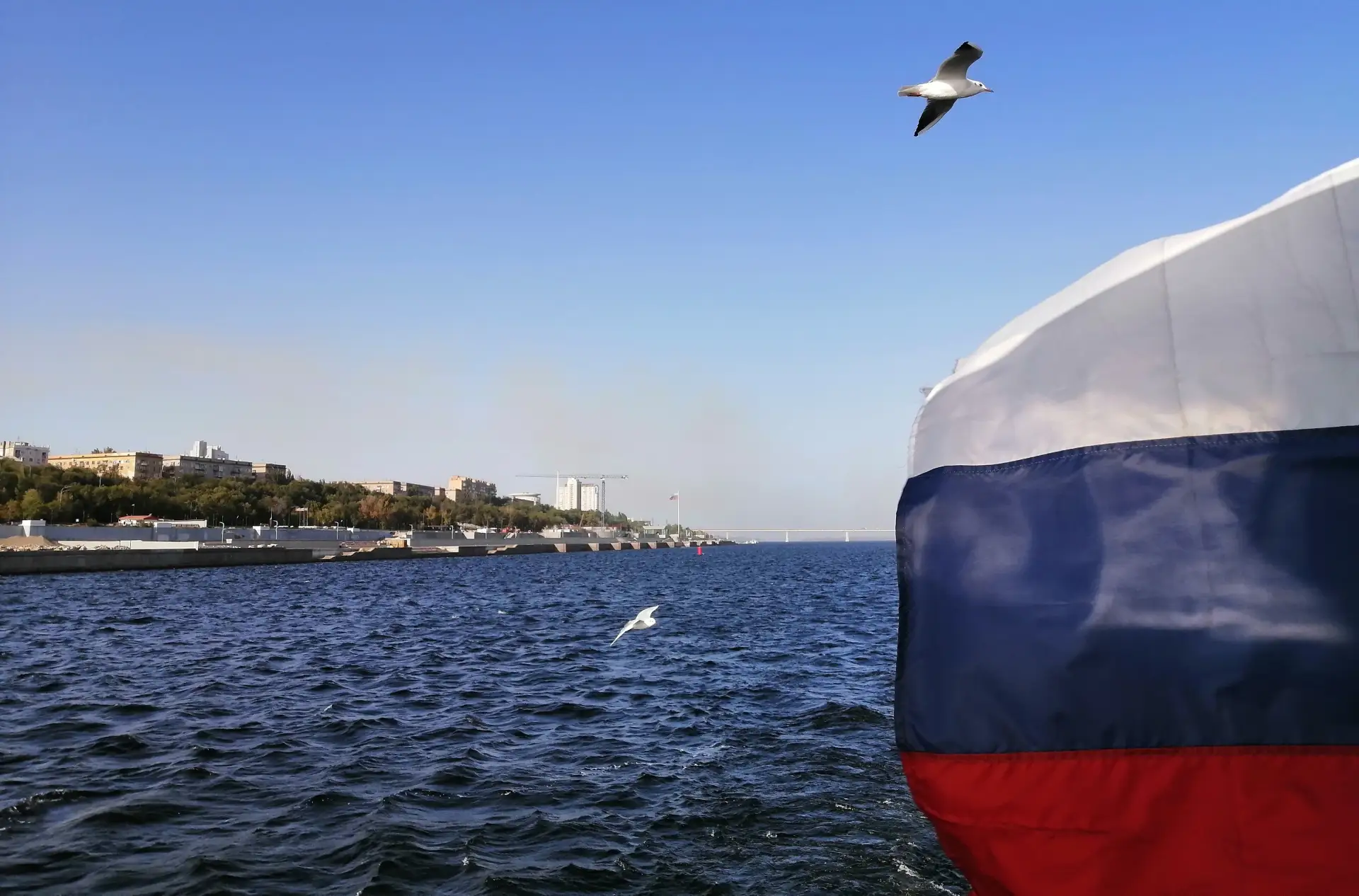 С Днем России! 🇷🇺
Пусть в душе каждого гражданина будет место для любви к своей Родине ❤️
Счастья 
