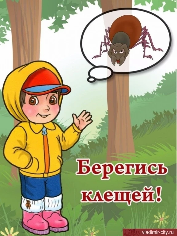 Очень важно!!! Просвещение родителей по теме "Берегитесь клещей".