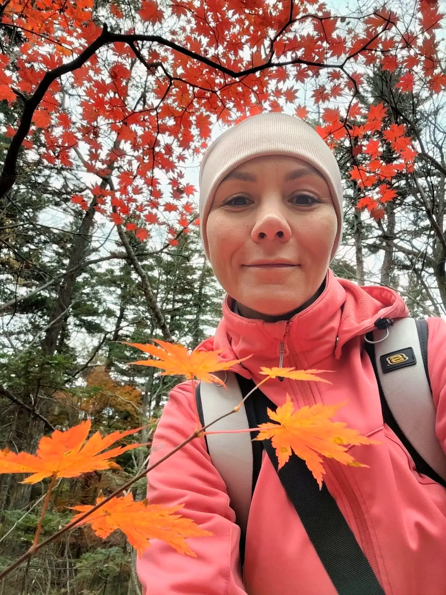 Если осень без красных клёнов-это не приморская осень 🍁🍁🍁