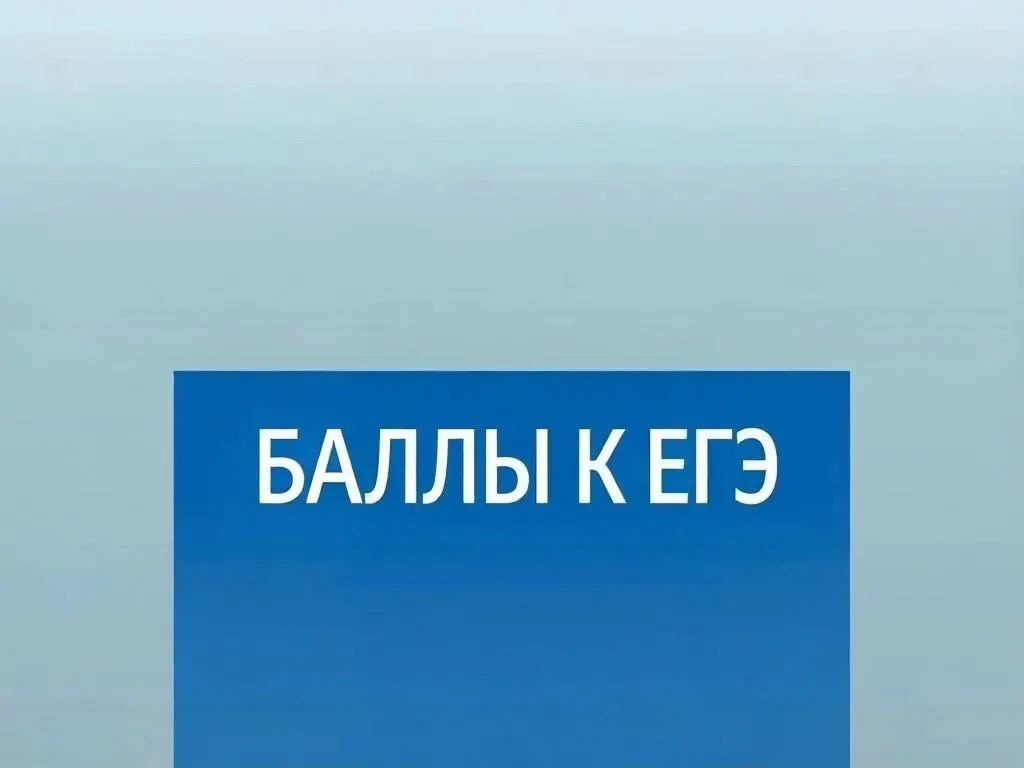 Знания, единомышленники и бонусы при поступлении: проекты Движения Первых приближают ме...