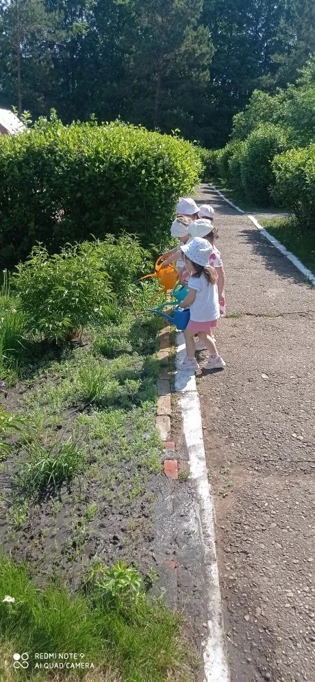 Малыши первой младшей группы "Вишенка" поливают цветы на клумбе.
