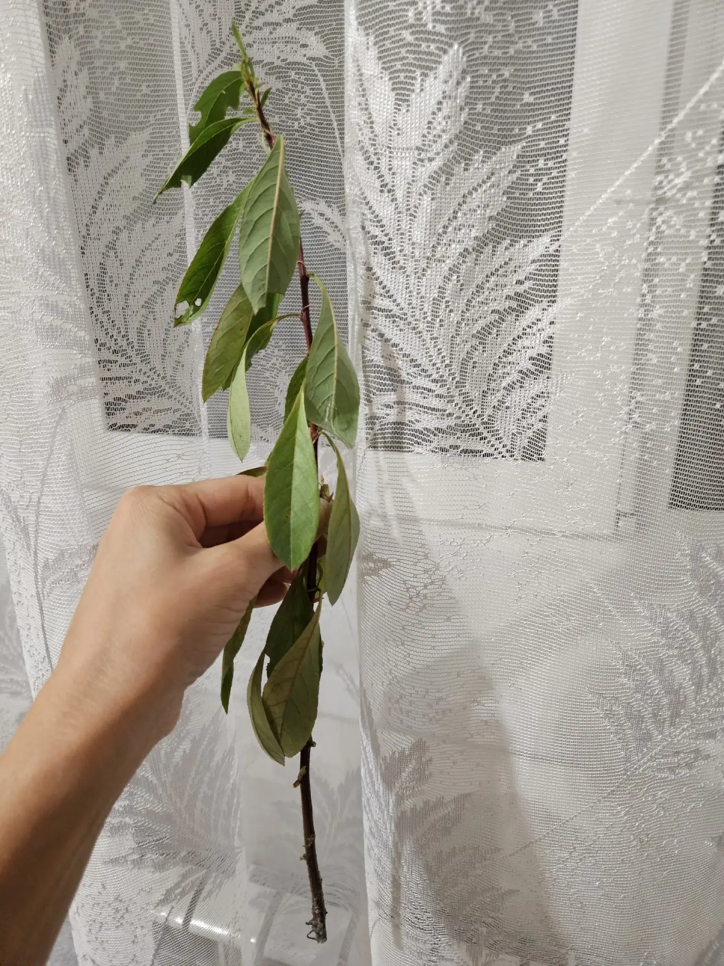 🌿Вопрос от подписчика🌿