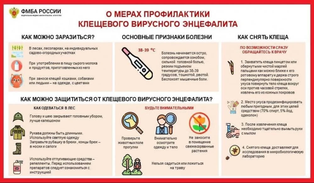 ОСТОРОЖНО КЛЕЩИ!!!