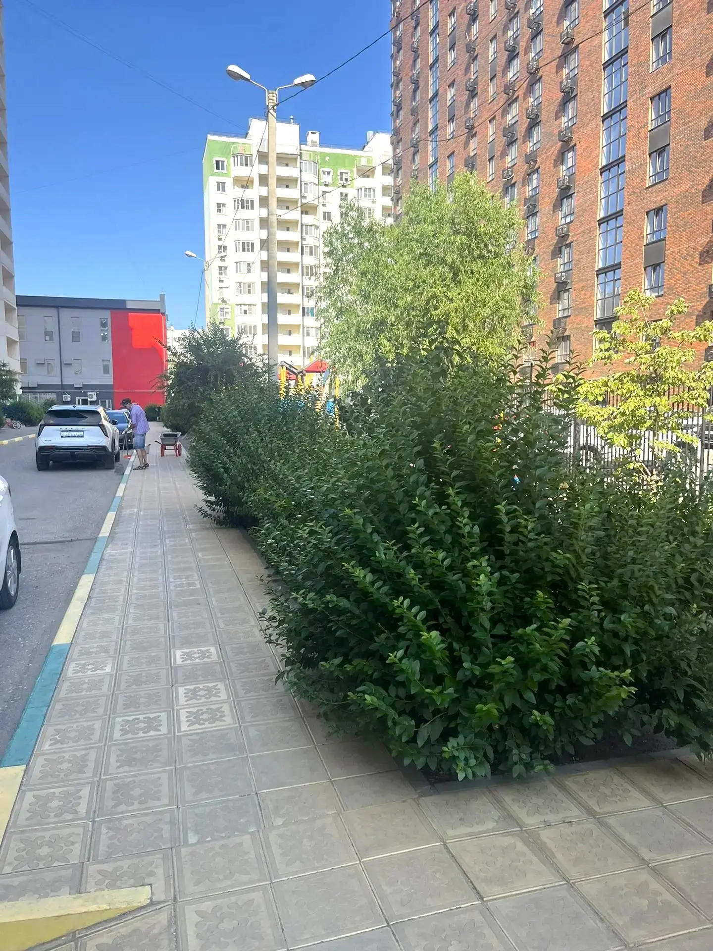 К новости «🌳 Летнее преображение»