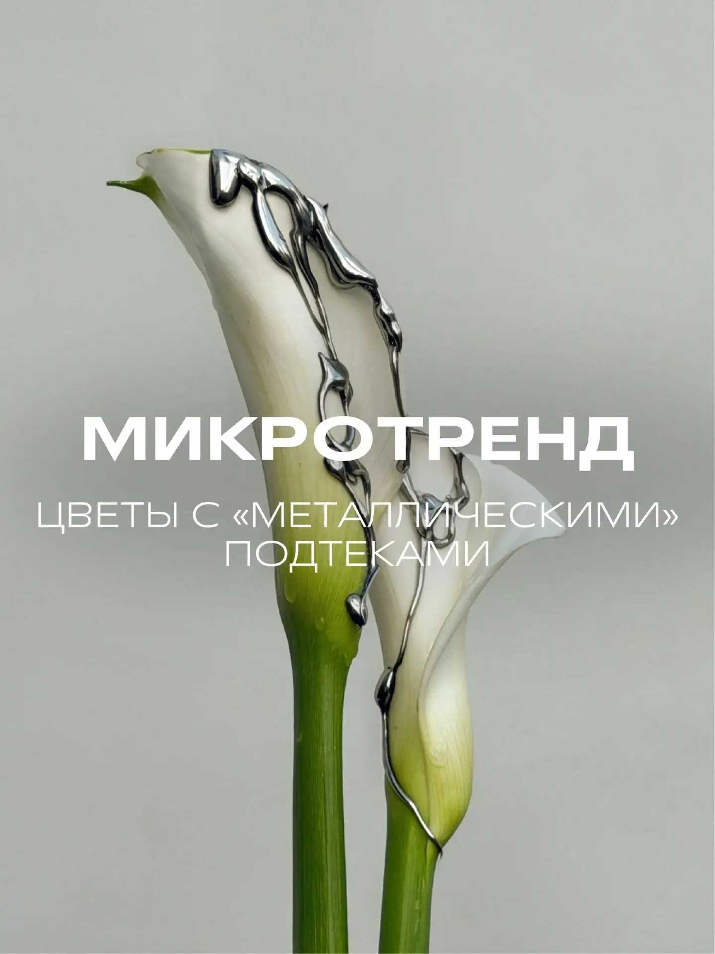 Новый микротренд в цветочном бизнесе — цветы с металлическими потёками.
