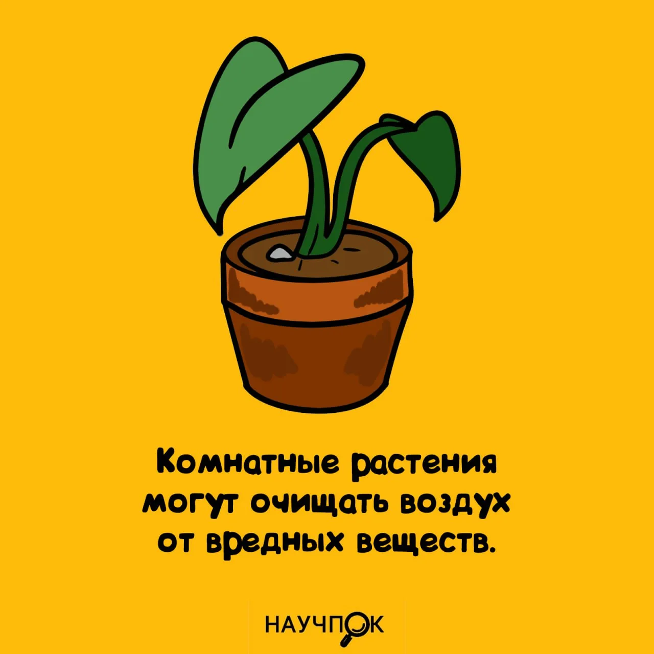 Научпок | Подписаться