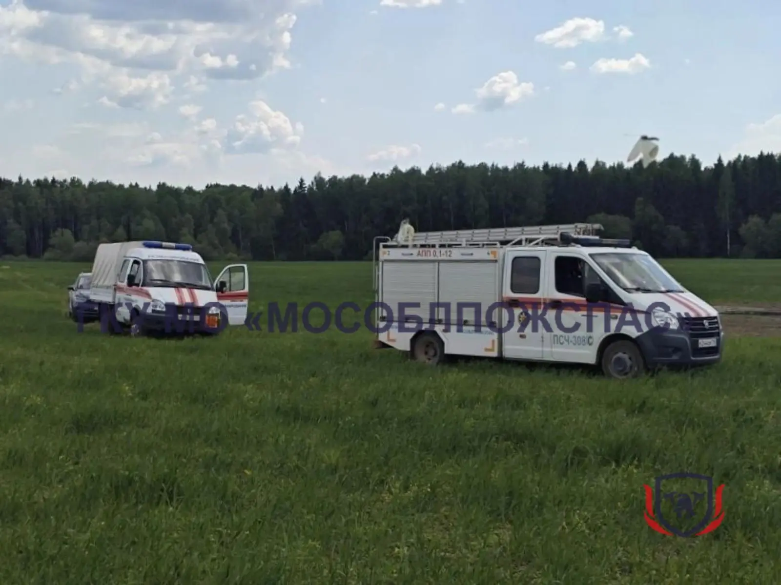 💣 Взрывотехники обезвредили снаряд времён Великой Отечественной войны⚡️  🔴Вчера специалисты поисково