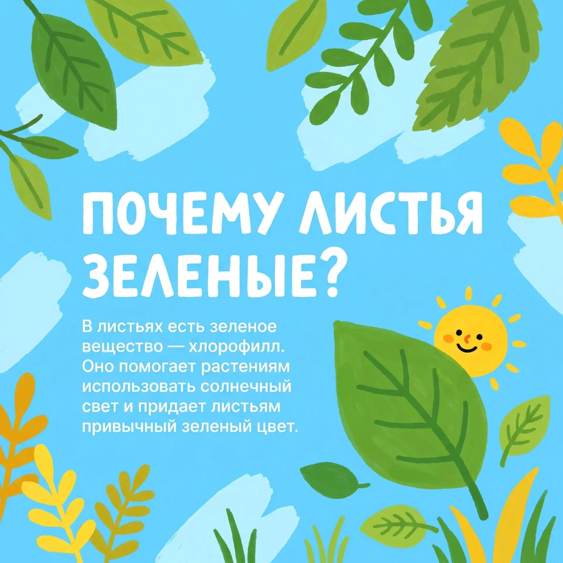 Почему листья меняют цвет? 🍂