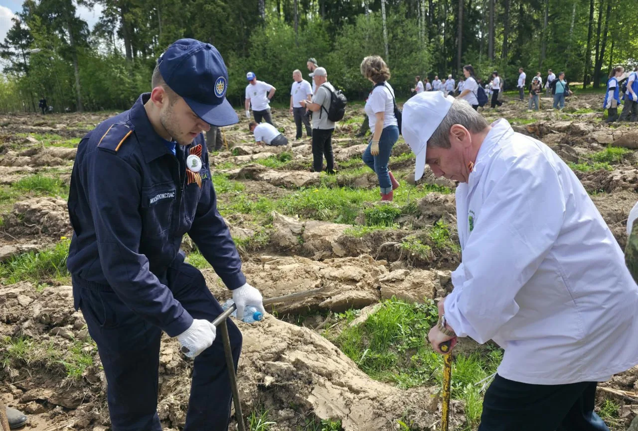 ✴️ Чтобы помнили. Пожарные и спасатели присоединились к эколого-патриотической акции 🌲  🚒 Работники 