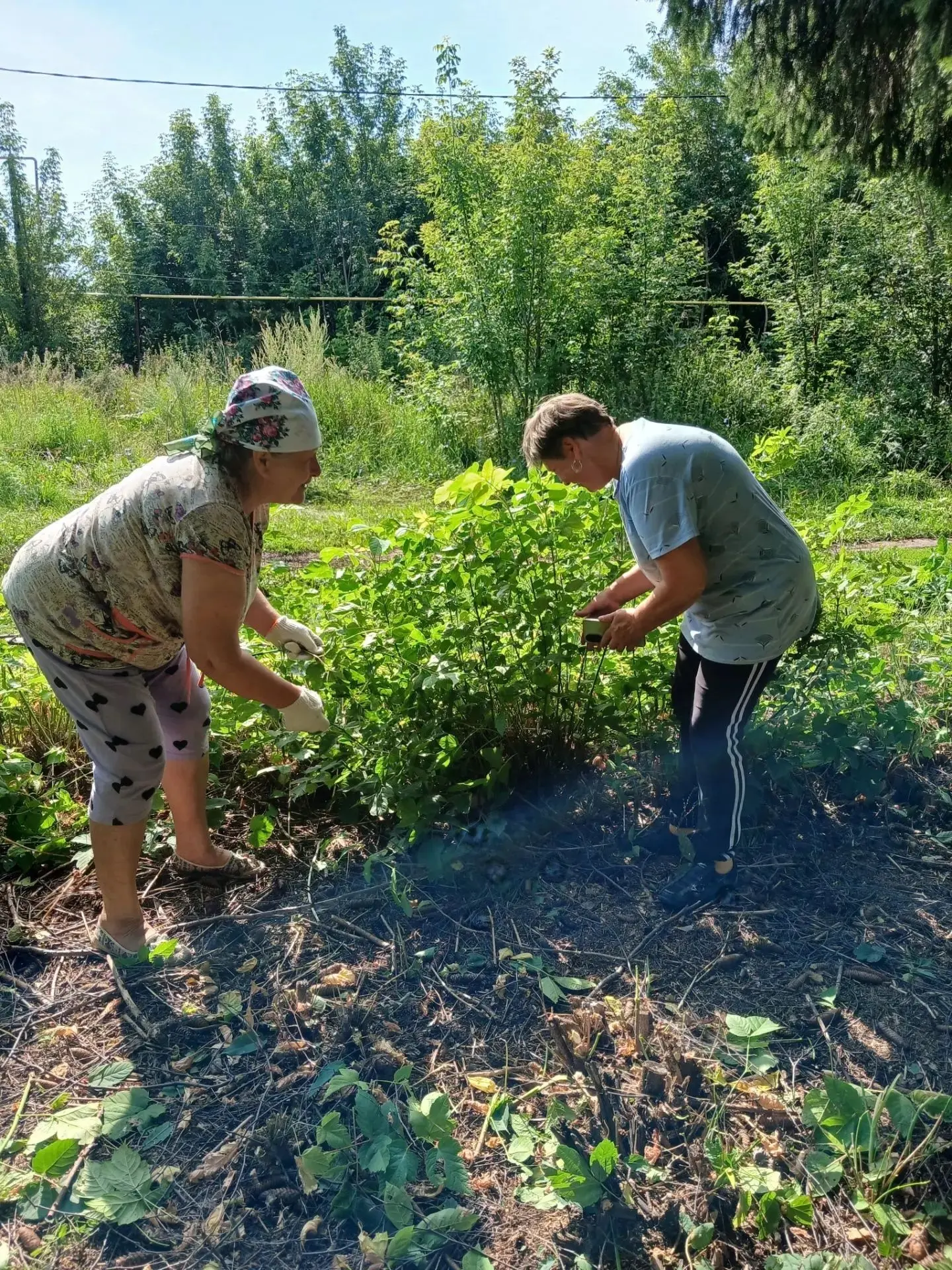 Антоновские активисты вновь доказали, что вместе можно сделать многое! На днях они пров...