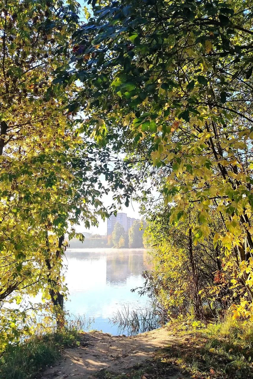 Ну что за красотка ! Осеннее утро в Балашихе! 😍
