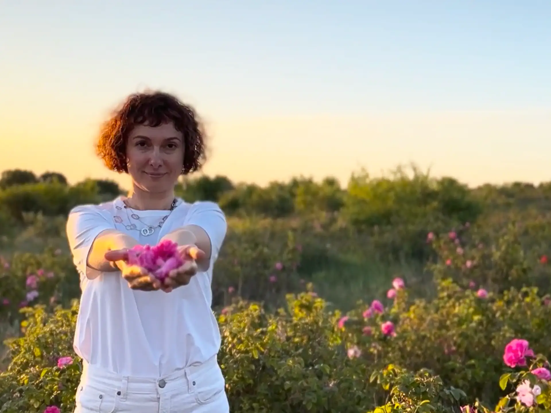 ROSA AB ORIGINE - первая, единственная, настоящая. 

Юлия Гладун: 

Сейчас идет сбор эфиромасличной 