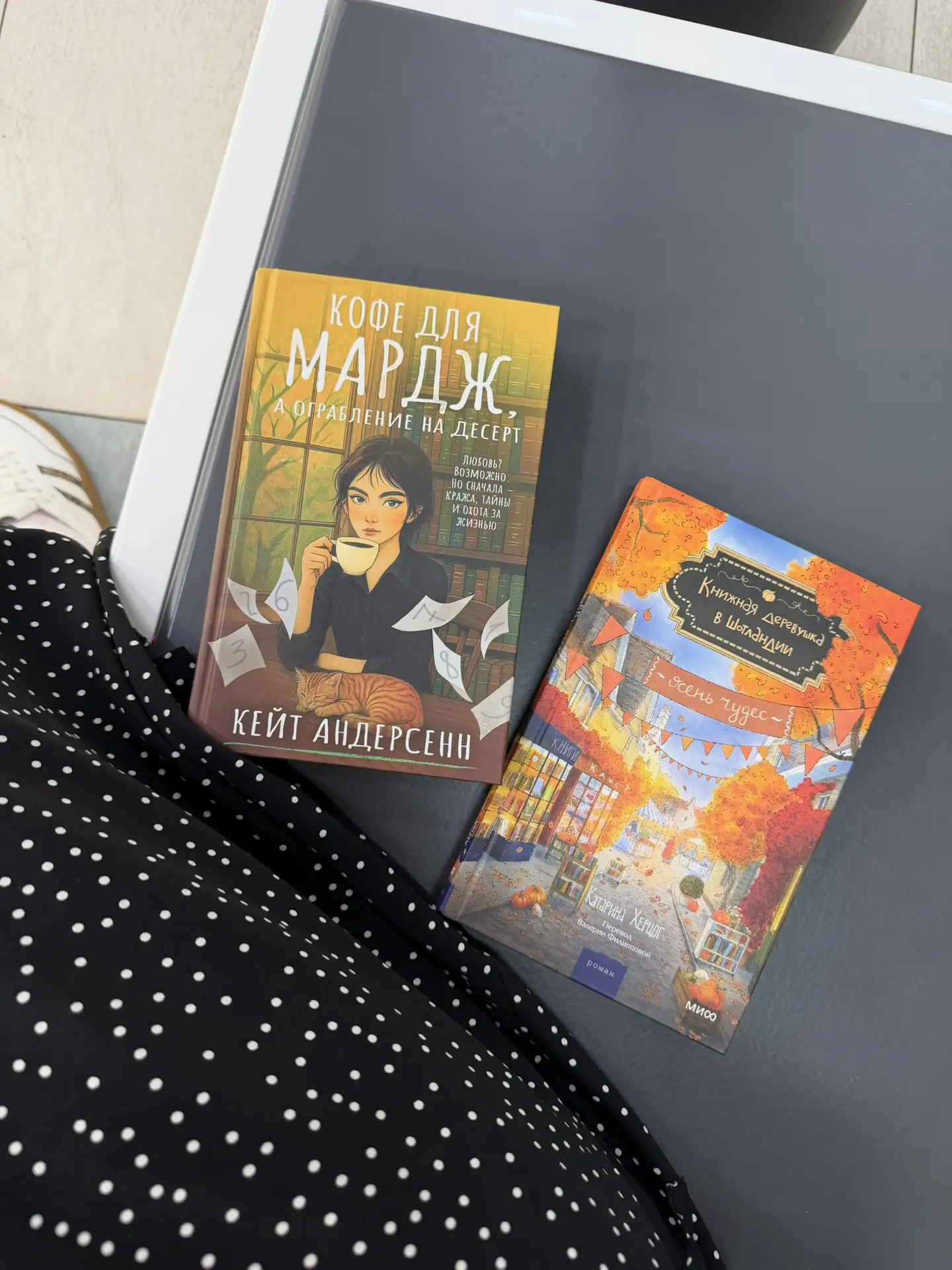 📚 Финишная прямая перед аскезой