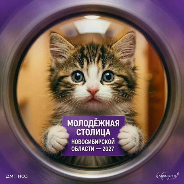 Ни на что не намекаем, но голосование за звание «Молодёжная столица Новосибирской облас...