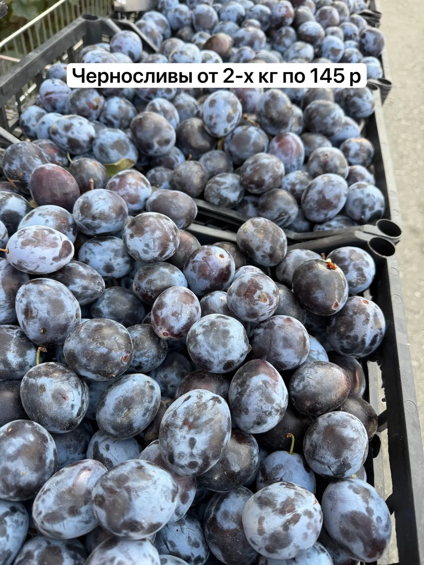 Черносливы