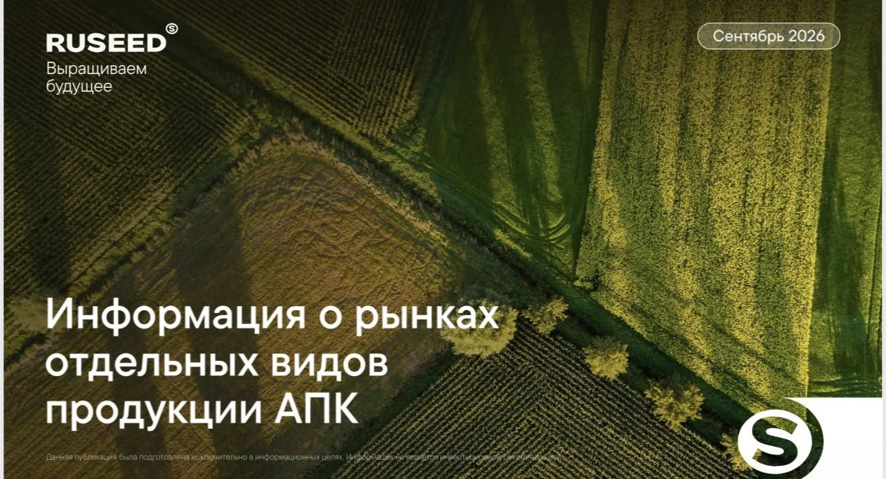 ☀️ Информация о рынках отдельных видов продукции АПК. Зерновые и масличные