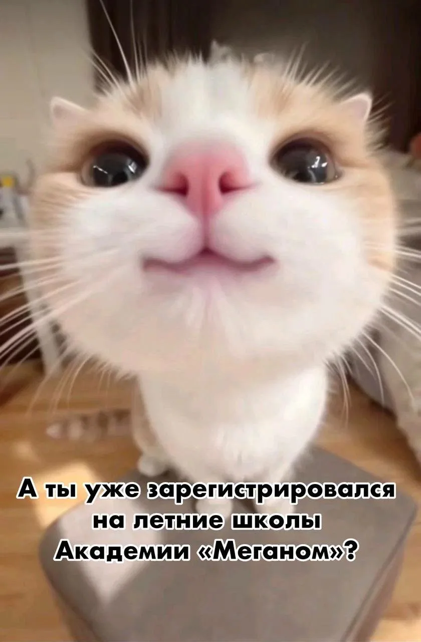 🔥 Лето уже зовёт — и зовёт в «Меганом»!  Хотите провести каникулы не просто у моря, а в компании еди