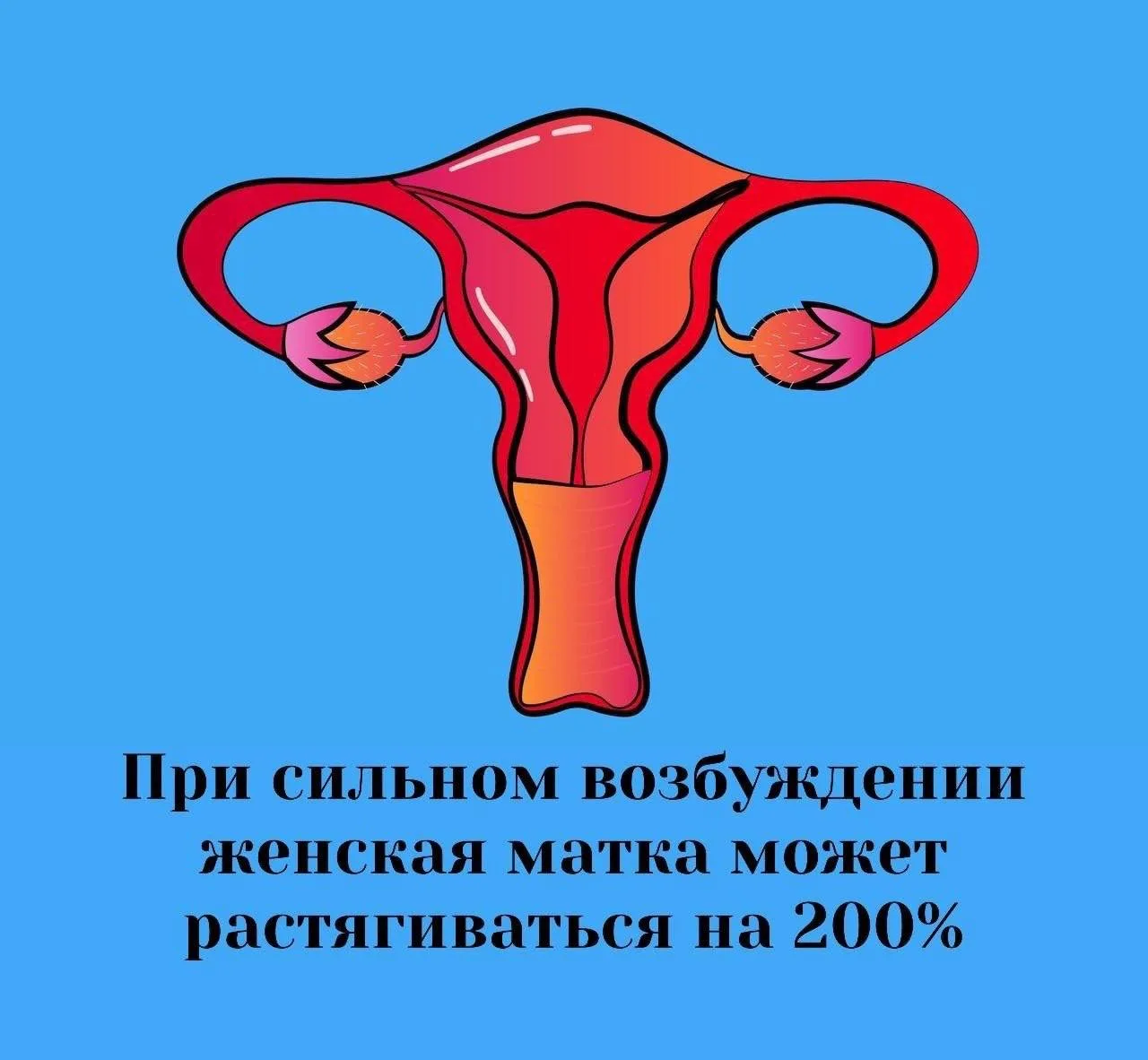 Сексология