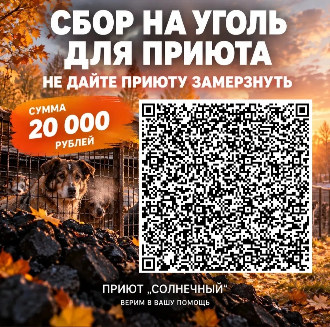 Я не знаю... как еще просить вас🙏🙏🙏🙏