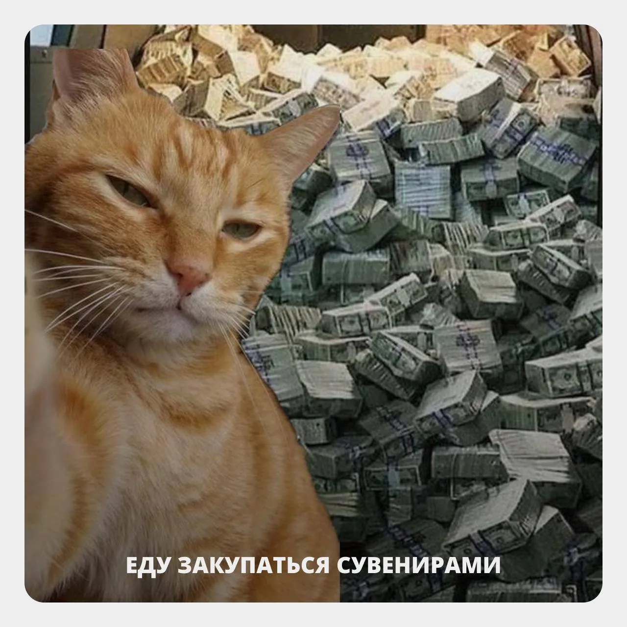 Как расплачиваться в Египте и какую валюту брать? 💵