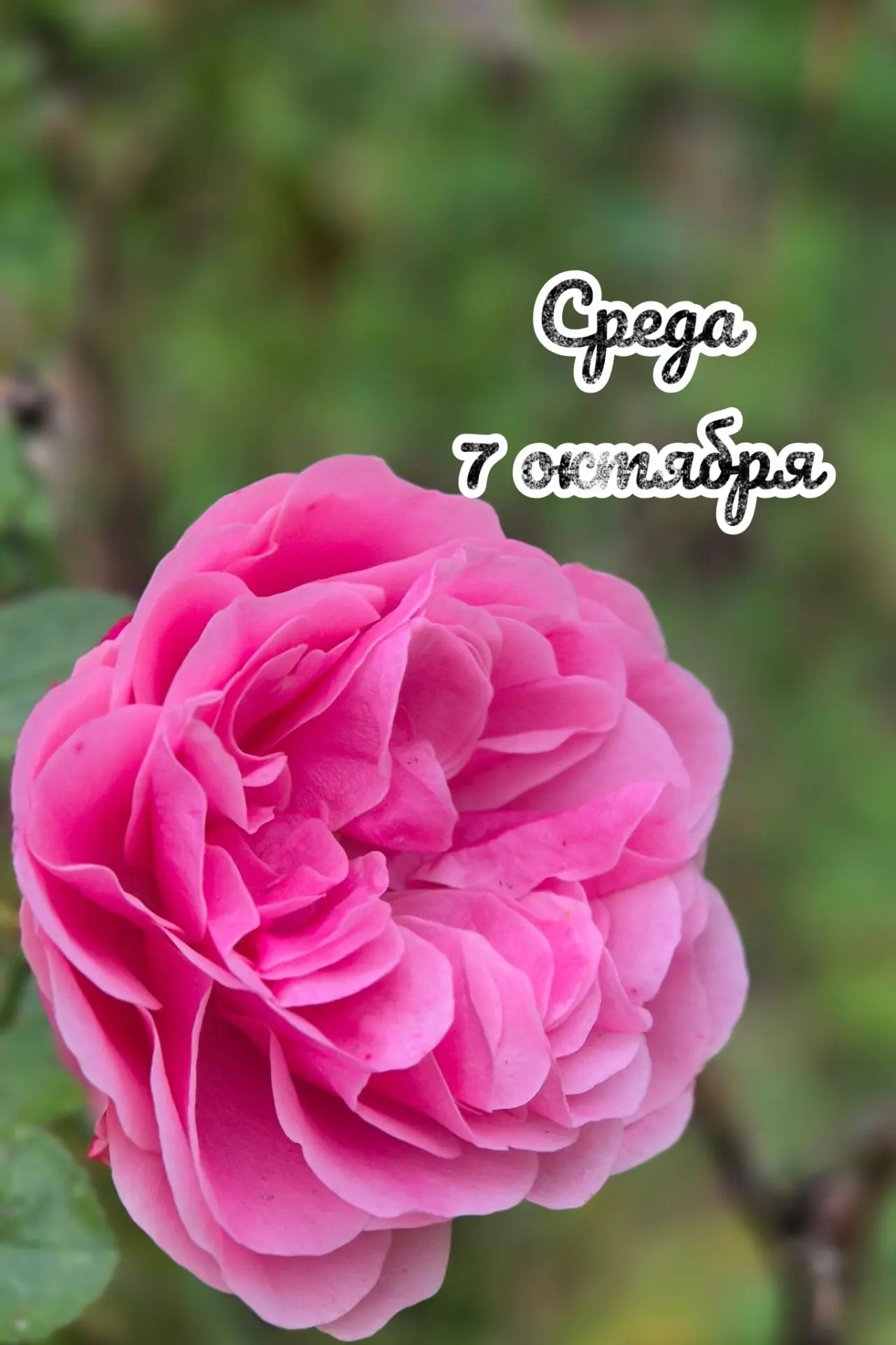📅 Среда, 7 октября: дни потери 🍂