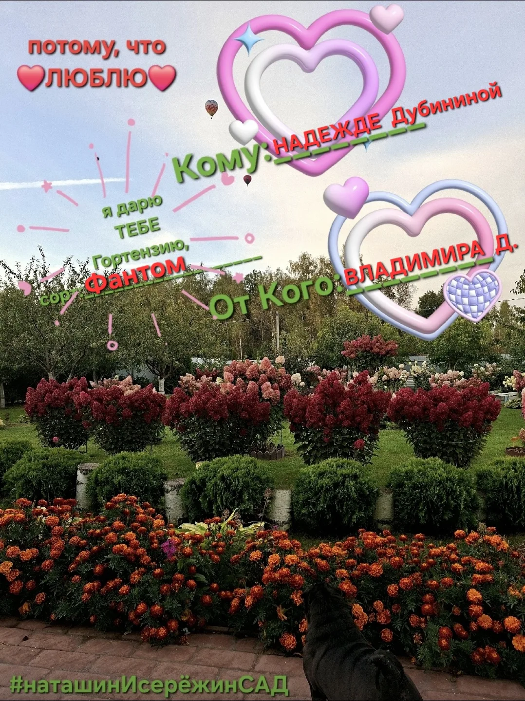 ТЕБЕ 🎁ПОДАРОК🎁 Потому, что ❤️люблю❤️  С днём ВЛЮБЛЁННЫХ💞  Признавайтесь в любви сегодня, сейчас,  ✅️