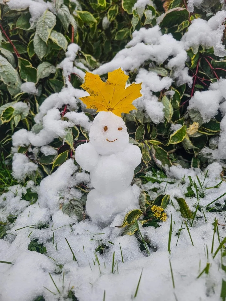 ❄️🍂 Два чудесных осенне-зимних снимка из Чусового. А кто-то еще успел слепить снеговика?