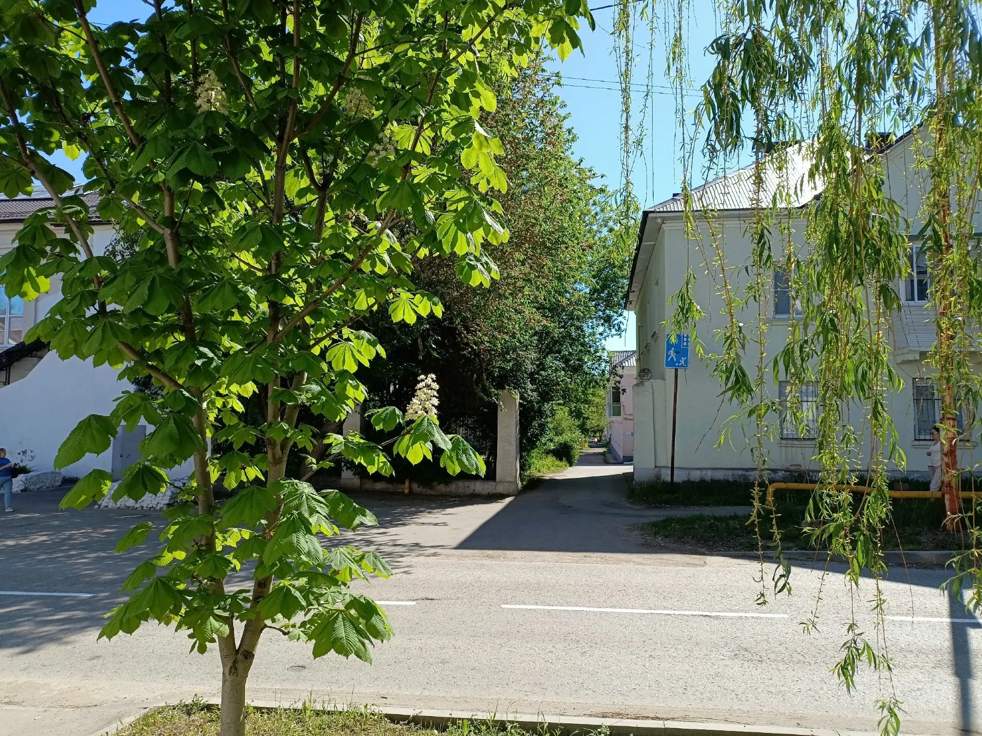 Доброе утро, Жигулевск! 🌷  Сегодня среда — золотая середина недели. Май щедро дарит нам зелень, тёпл