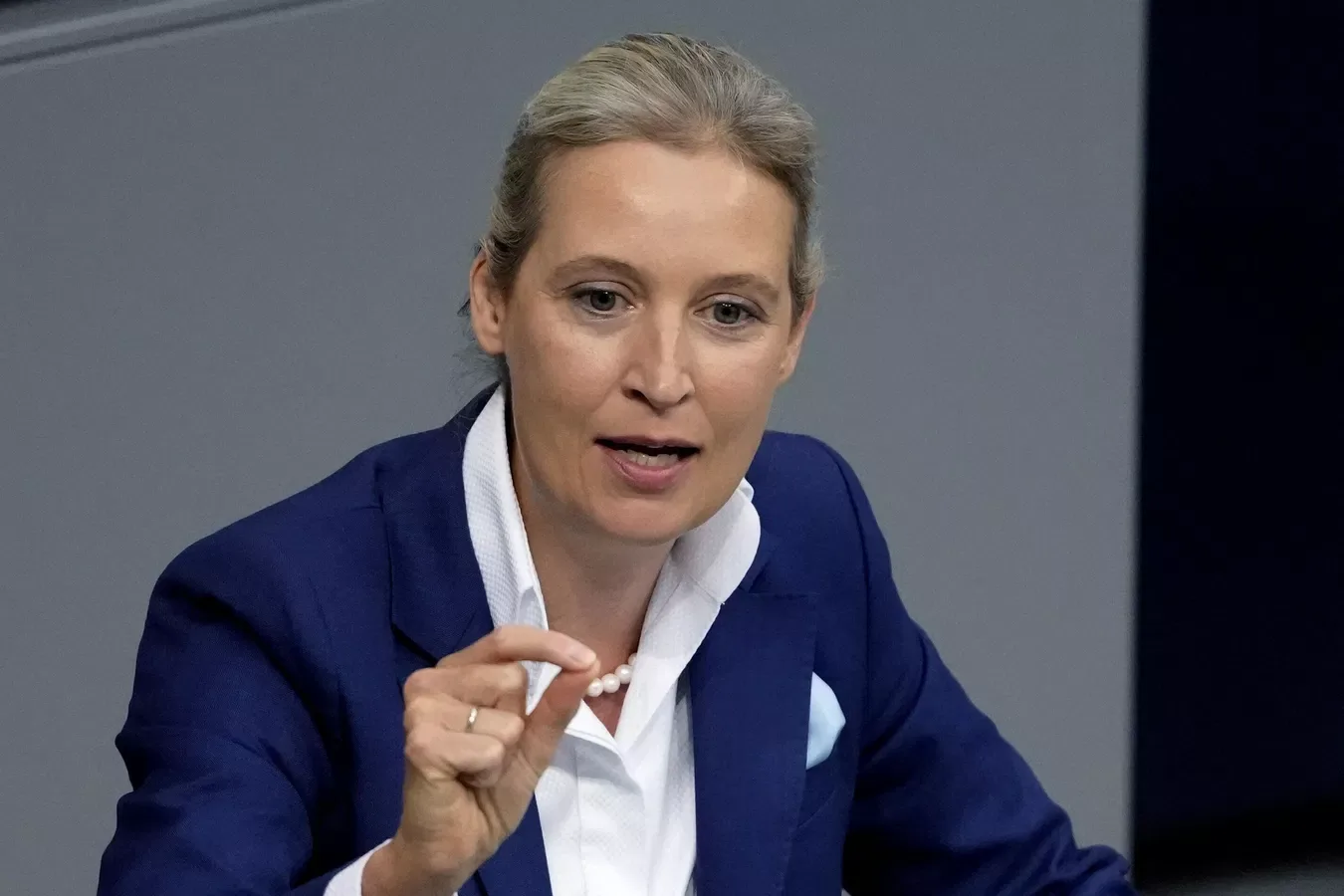 Германия де-факто является банкротом, заявила лидер АдГ Алиса Вайдель
