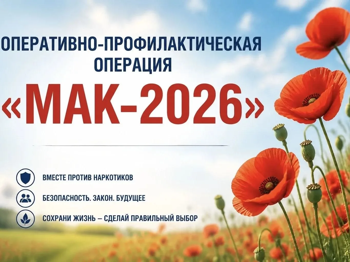 ❗️ОТВЕТСТВЕННОСТЬ ЗА НАРКОСОДЕРЖАЩИЕ РАСТЕНИЯ