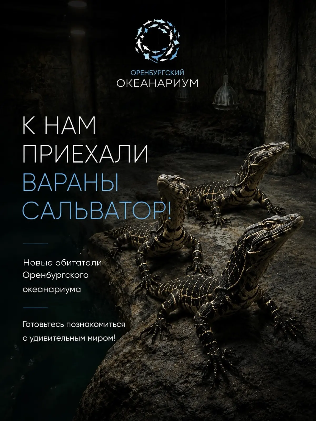 Вараны Сальватор считаются САМЫМИ крупными ящерицами на всей планете!🌎