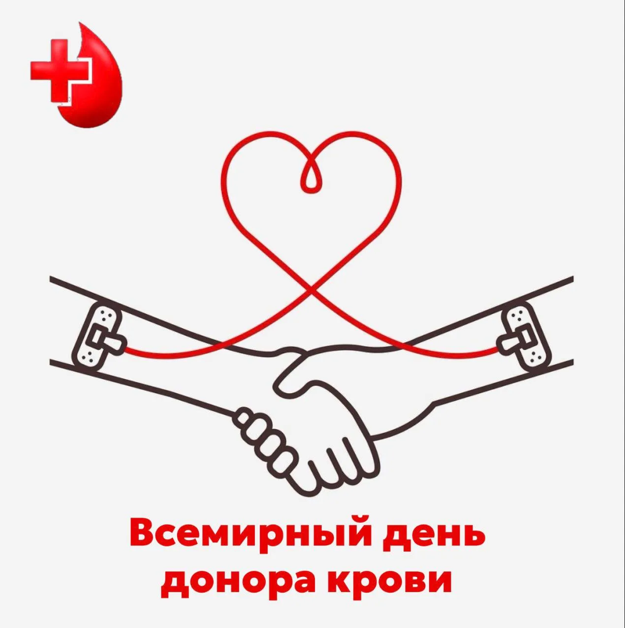 Сегодня День донора крови🩸 — это про спасение жизней, взаимопомощь и готовность поделиться самым це