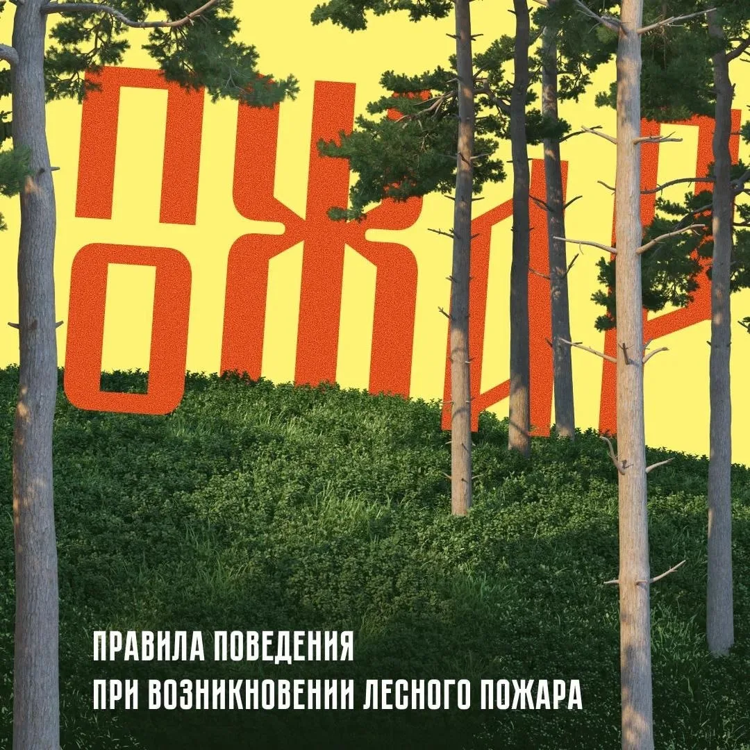 Правила поведения при возникновении лесного пожара
